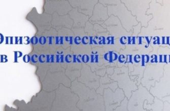МОС ОБЛ ЛИЧНЫЙ КАБИНЕТ КЛИЕНТА МОСКОВСКАЯ ОБЛАСТЬ