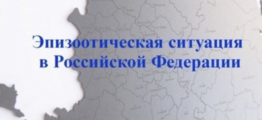 ЕИРЦ КРАСНОЯРСК ОФИЦИАЛЬНЫЙ САЙТ