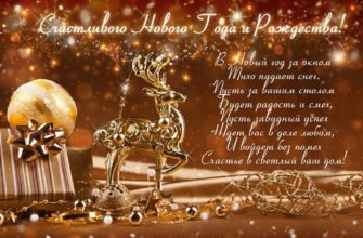 МОСОБЛЕИРЦ ЛИЧНЫЙ КАБИНЕТ МОСКОВСКАЯ ОБЛАСТЬ ПУТИЛКОВО