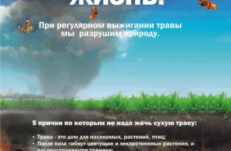 МОСОБЛЕИРЦ ЗАРЕГИСТРИРОВАТЬСЯ В ЛИЧНОМ КАБИНЕТЕ ПО ЛИЦЕВОМУ СЧЕТУ ЧЕРЕЗ ИНТЕРНЕТ