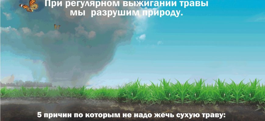 ООО ЕИРЦ КРАСНОДАРСКОГО КРАЯ ОФИЦИАЛЬНЫЙ САЙТ